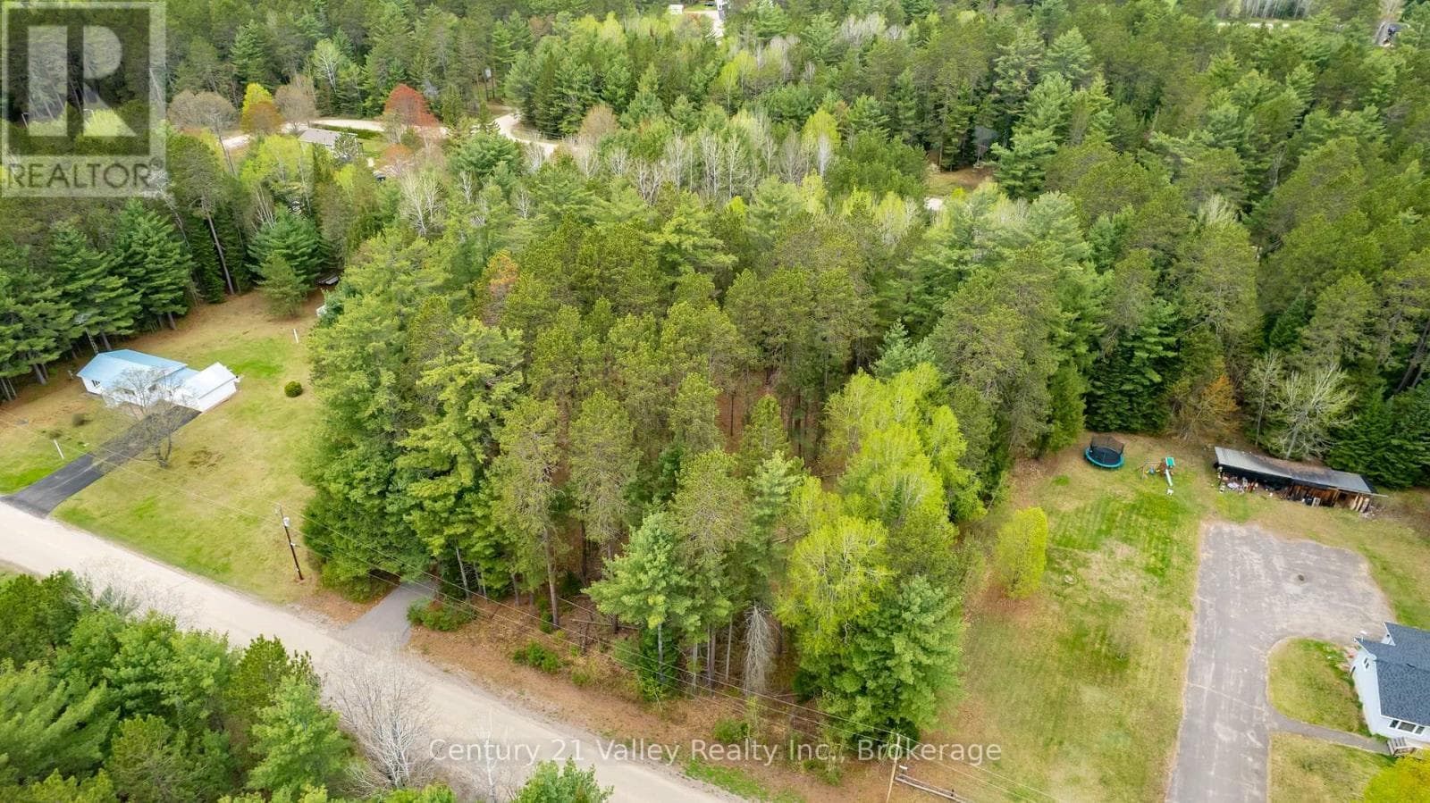 536 PINE STREET photo 4
