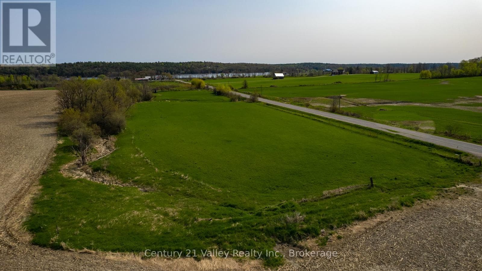 154 CORNERVIEW ROAD photo 5