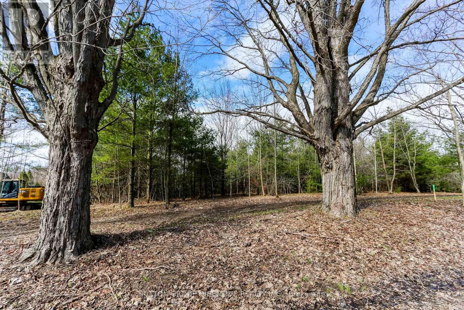 PART 4 - 2774 OLD SECOND ROAD S photo 4