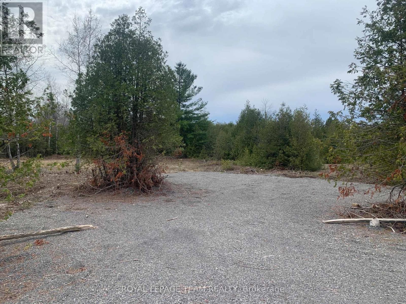 1204 PIONEER ROAD photo 4
