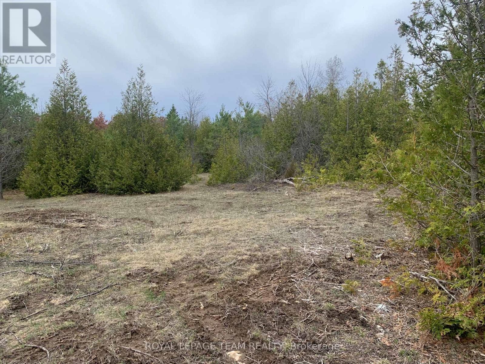 1204 PIONEER ROAD photo 5