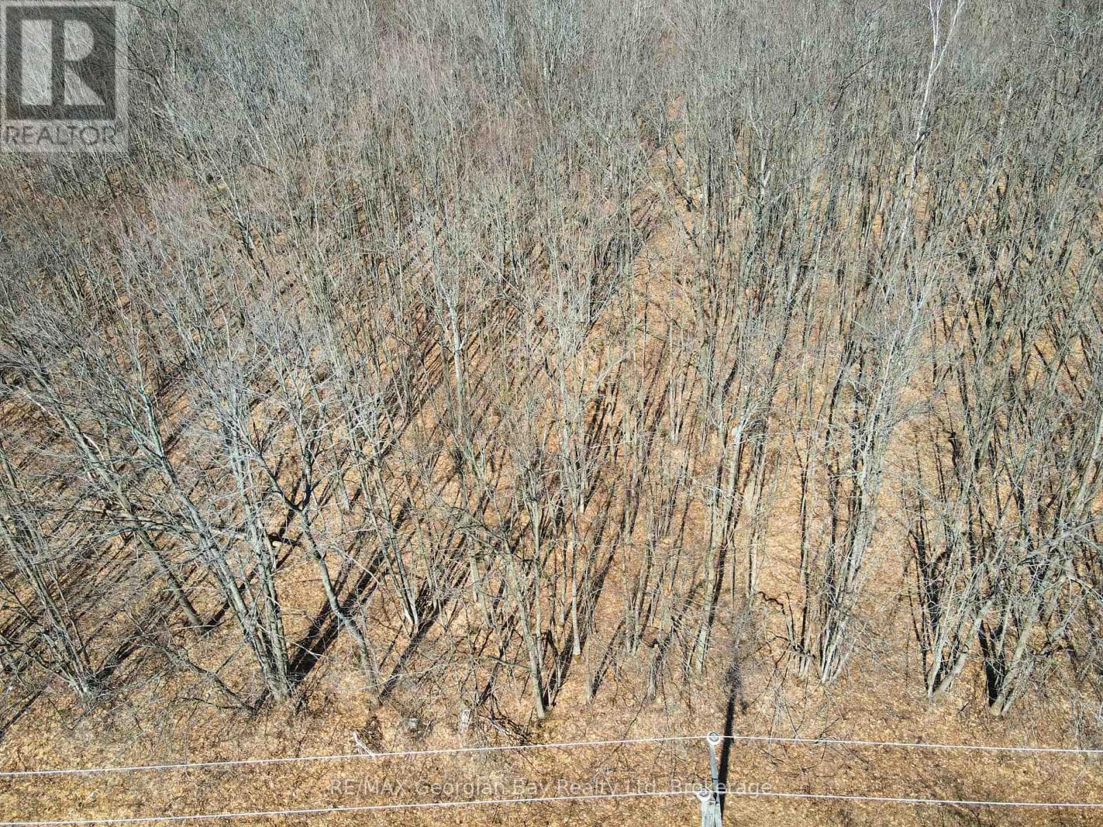 LOT 33 MACAVALLEY ROAD photo 2