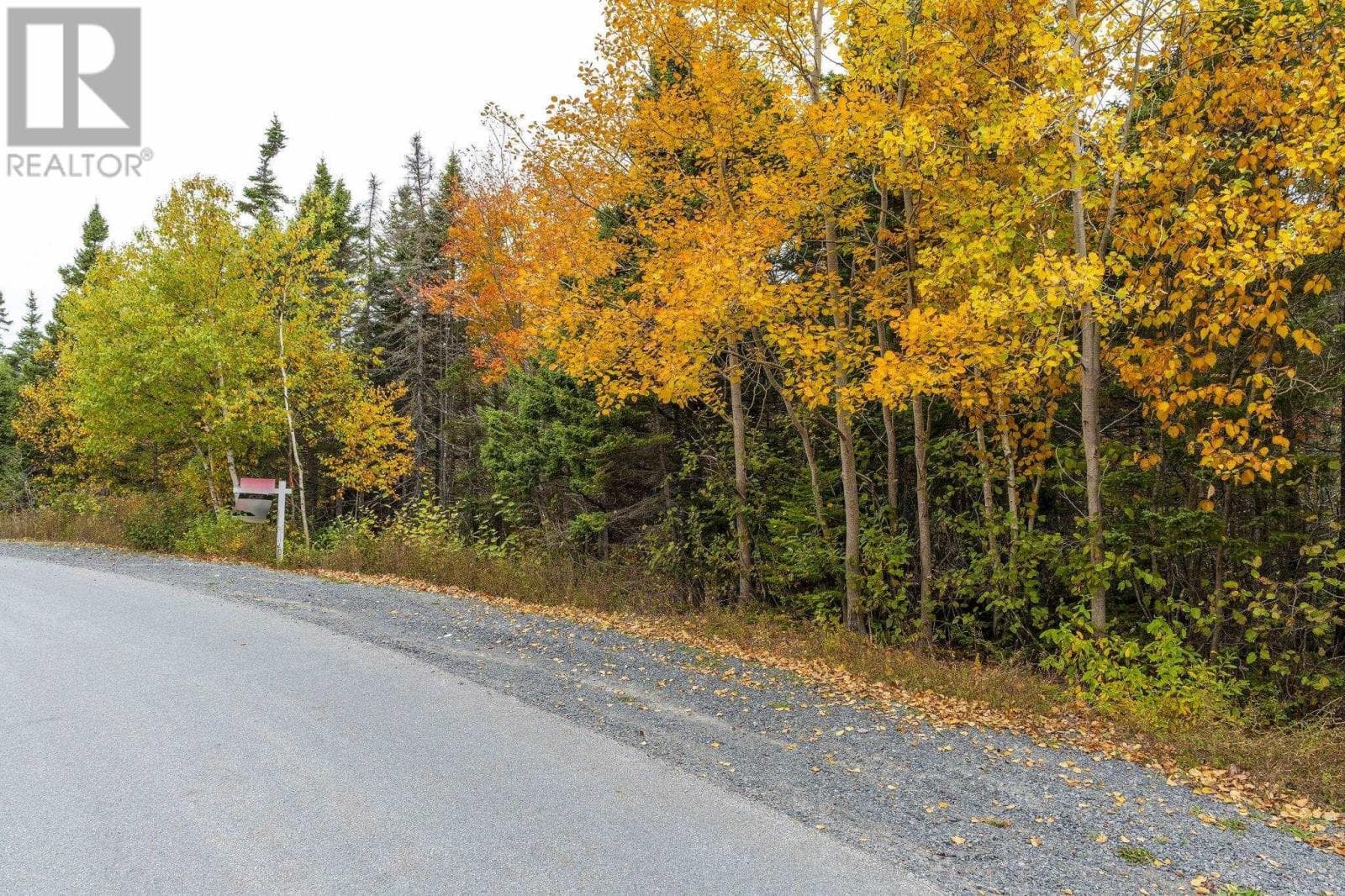 Lot Scott's Point Road photo 5