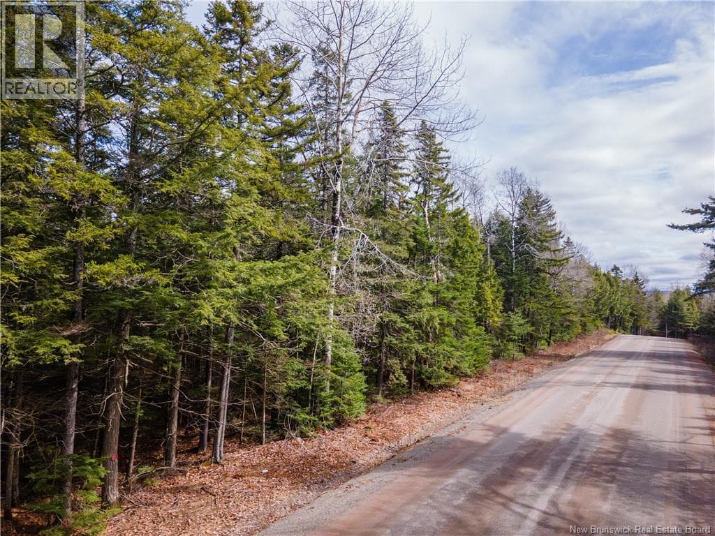 Lot 25-3 Buckley Settlement Road photo 5