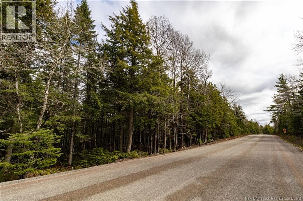 Lot 25-5 Buckley Settlement Road photo 4