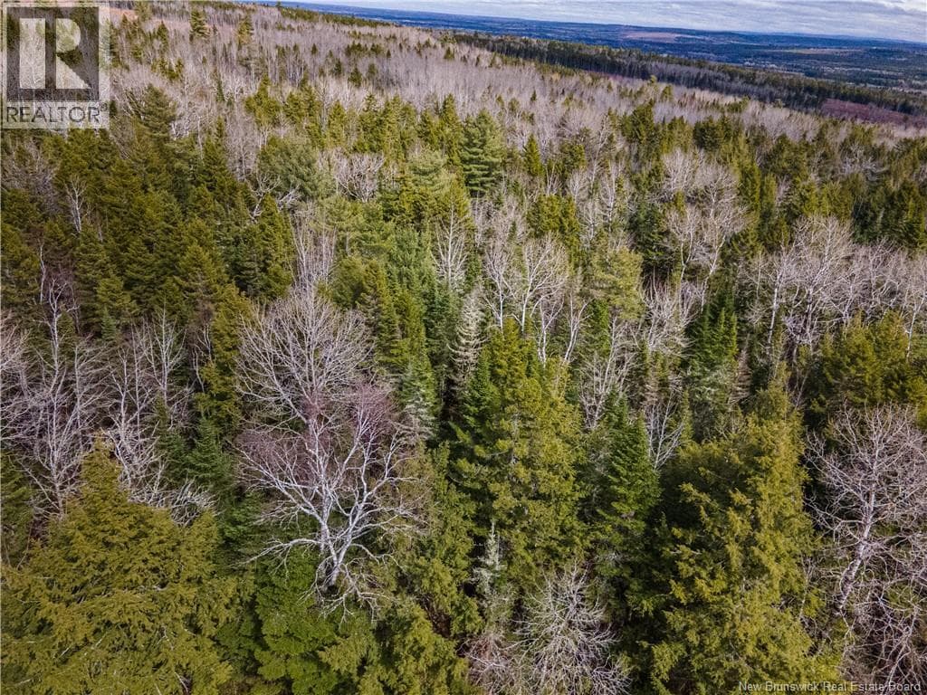 Lot 25-5 Buckley Settlement Road photo 2