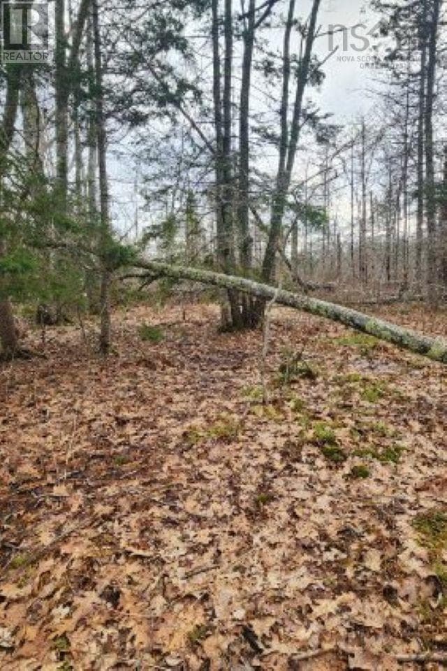 8 Acres Cedar Road, Church Hill photo 4