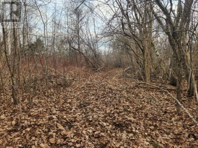 8 Acres Cedar Road, Church Hill photo 3