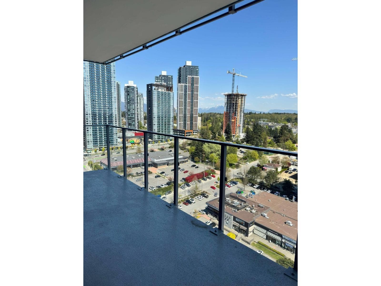 2008 9675 KING GEORGE BOULEVARD photo 4