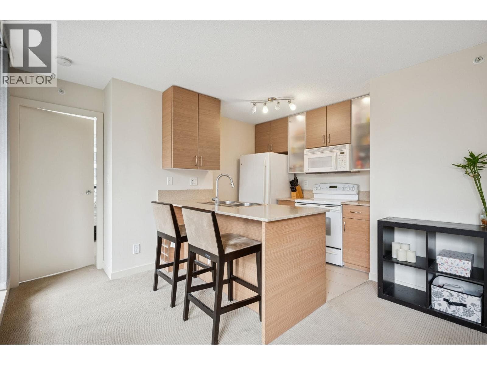 502 977 MAINLAND STREET photo 4