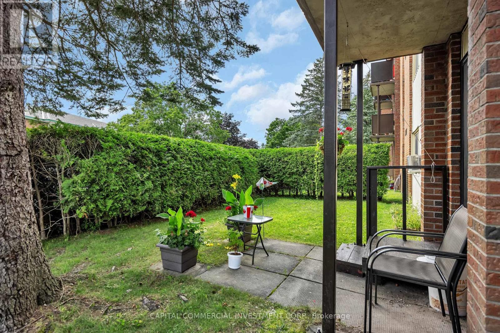 18 HAGGART STREET photo 5