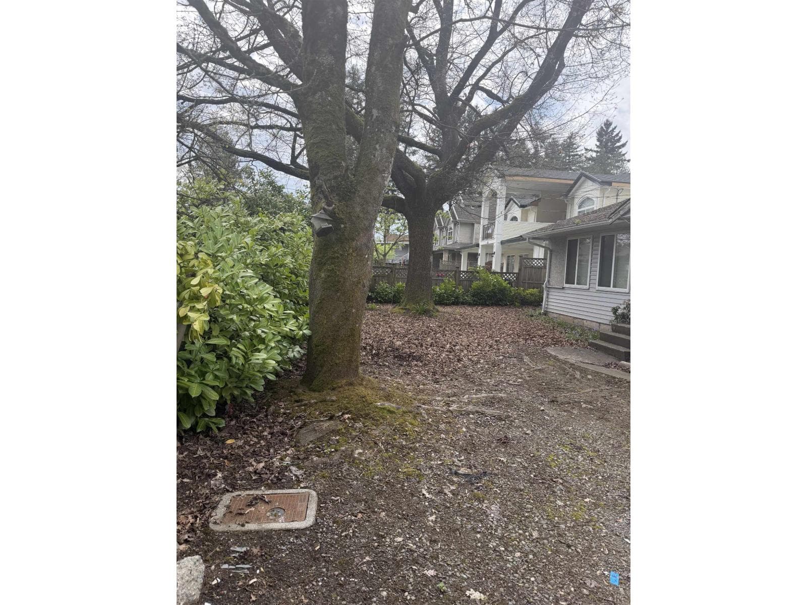 10269 132 STREET photo 2
