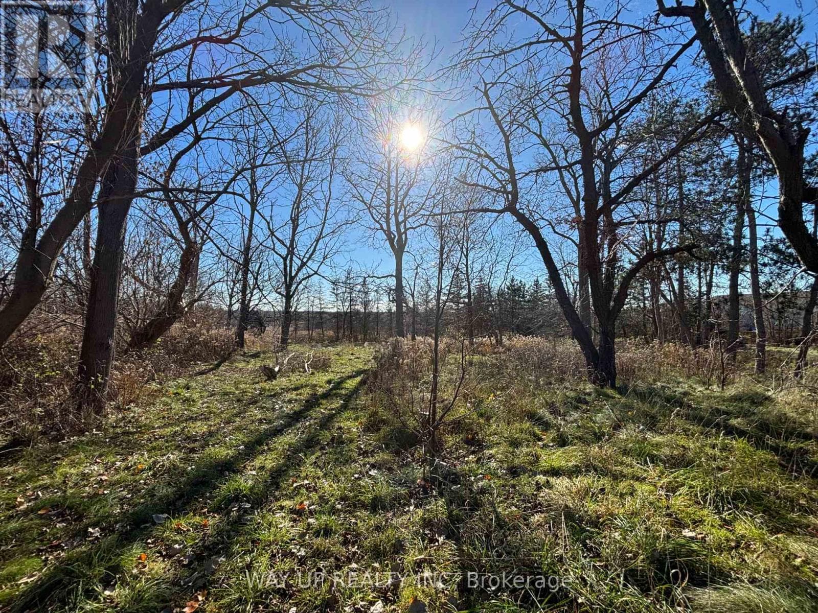 1343 SUNNINGDALE ROAD E photo 4