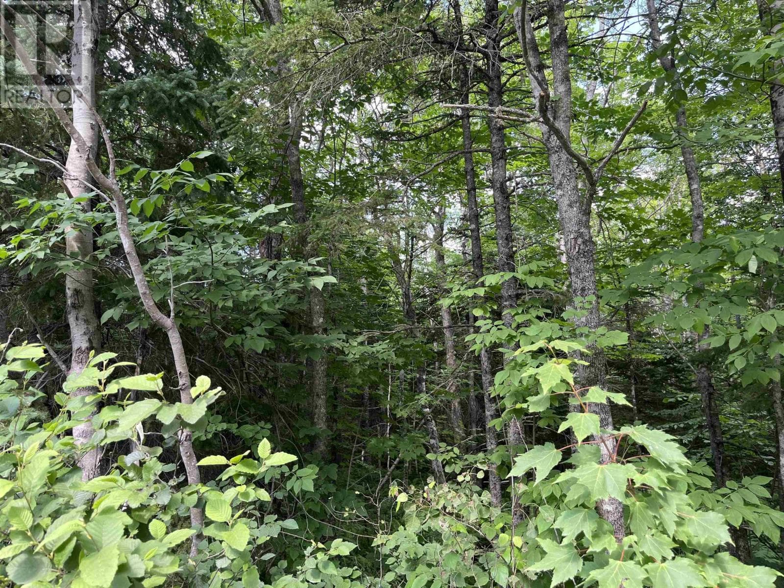 vacant land at 2 Lot 2 Butler Road Road — $39,900