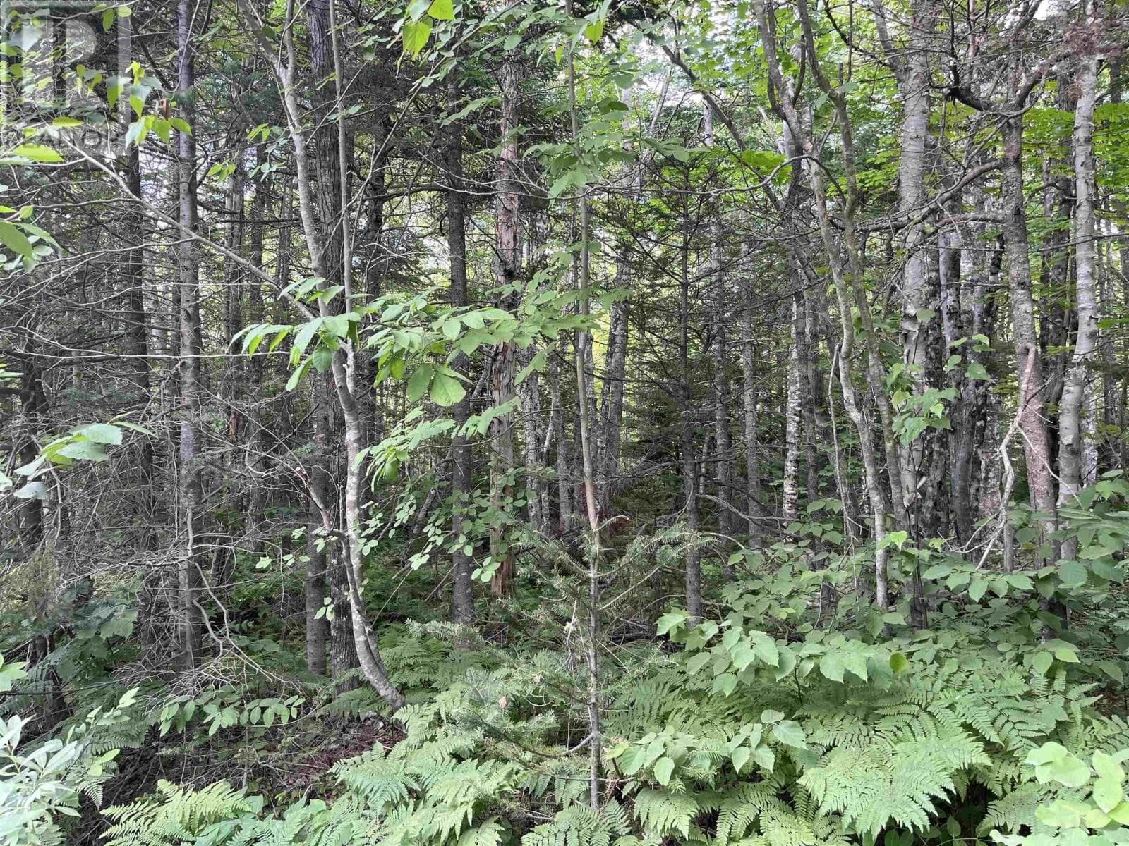 vacant land at 6 Lot 6 Butler Road Road — $39,900