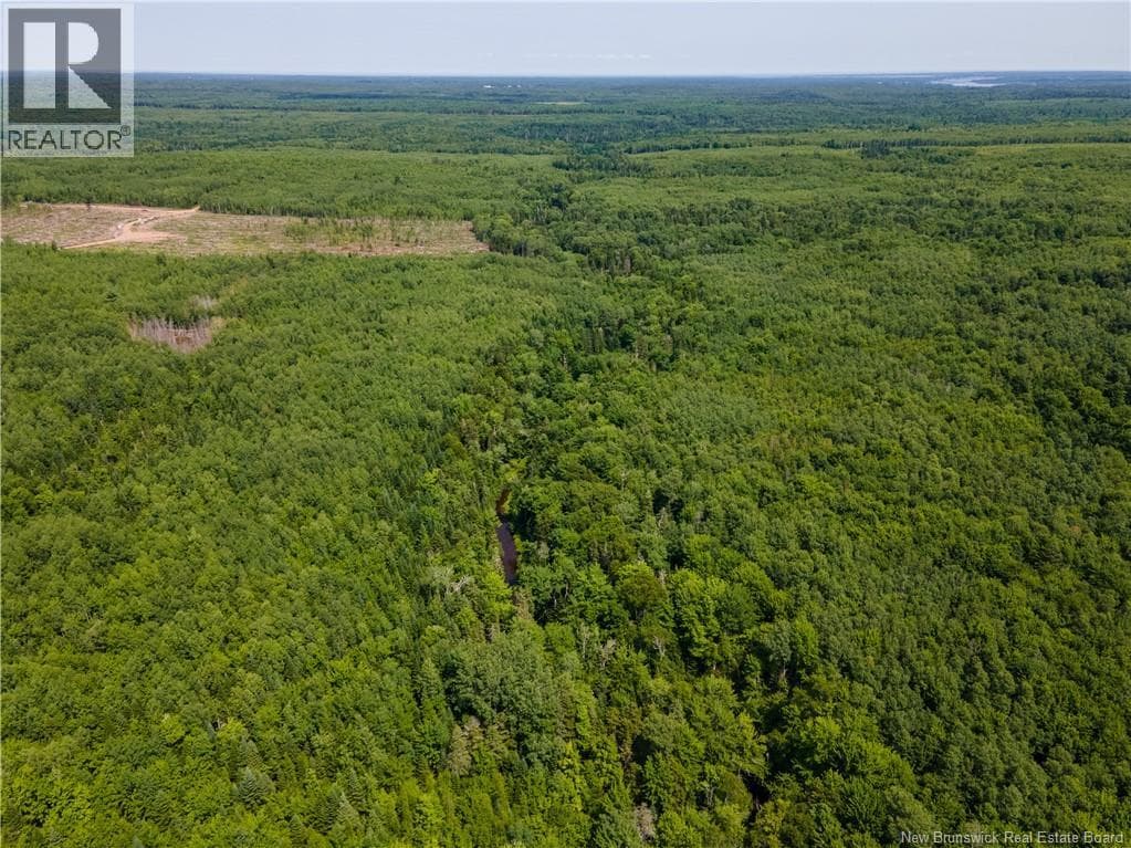 Lot 53 Alexandrina Road photo 5