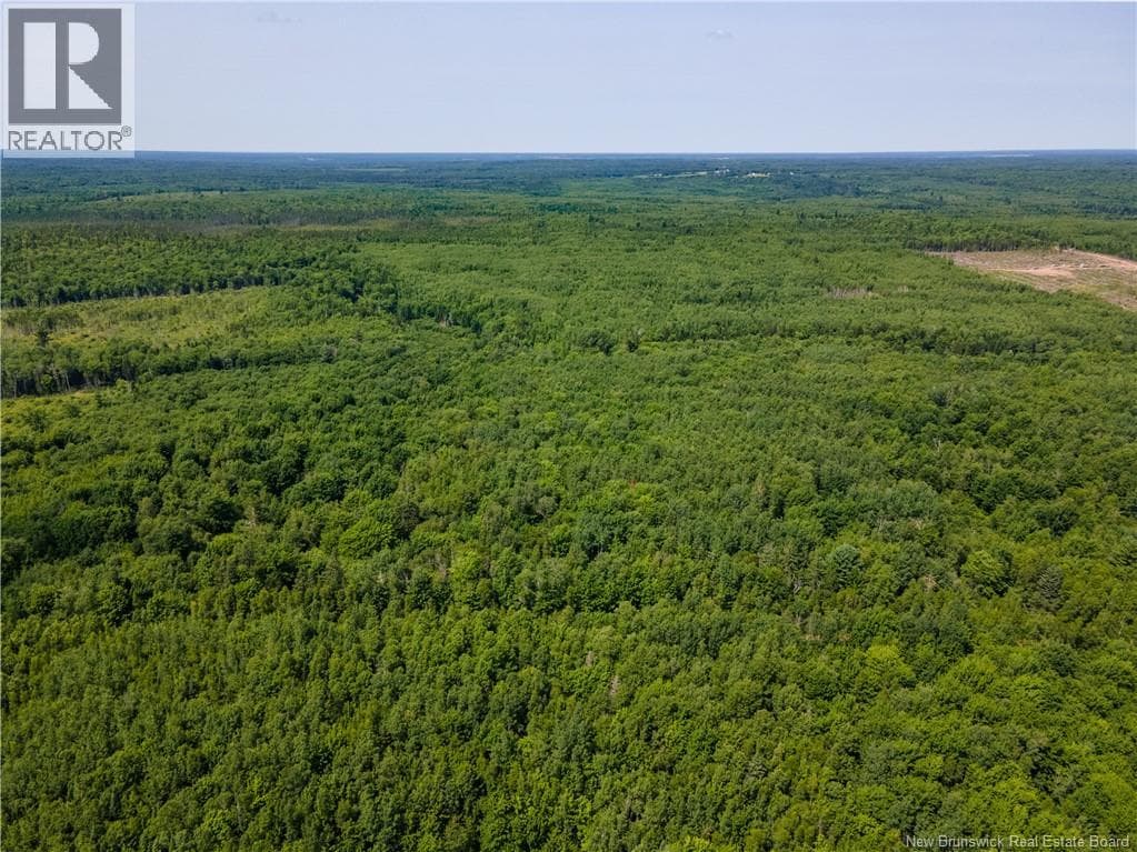Lot 53 Alexandrina Road photo 4