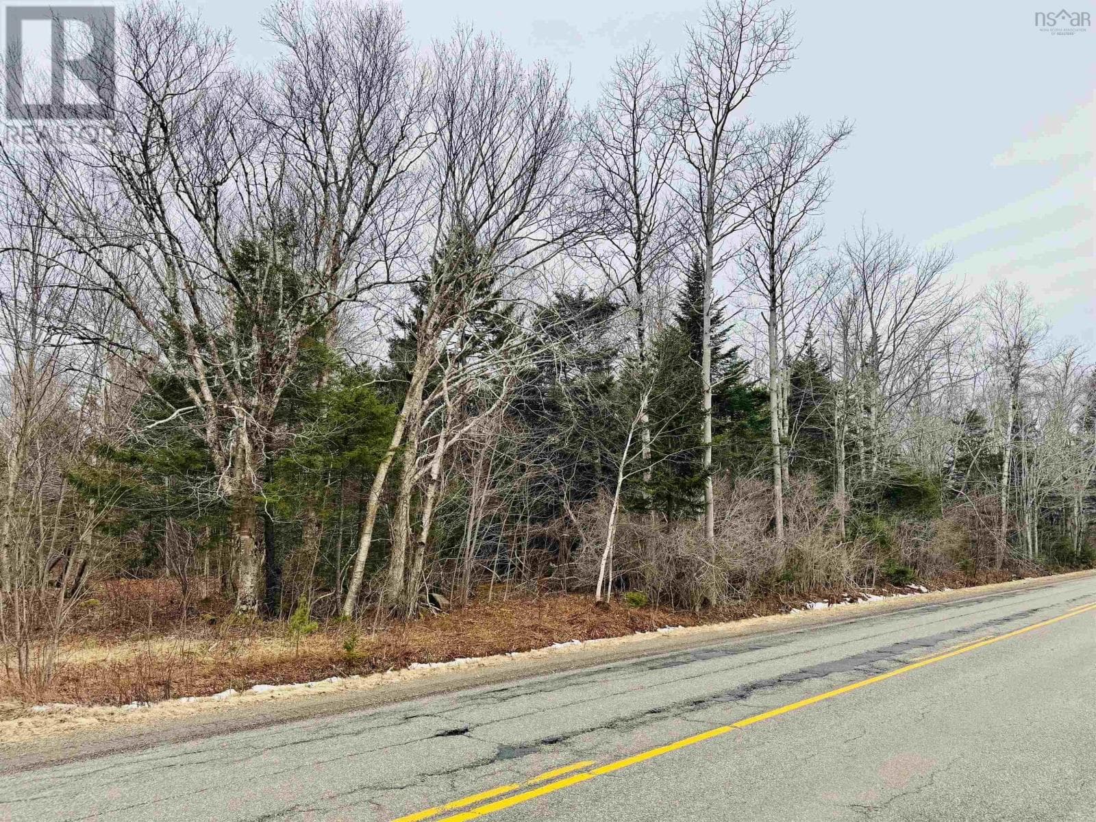 Townshipline Road photo 4