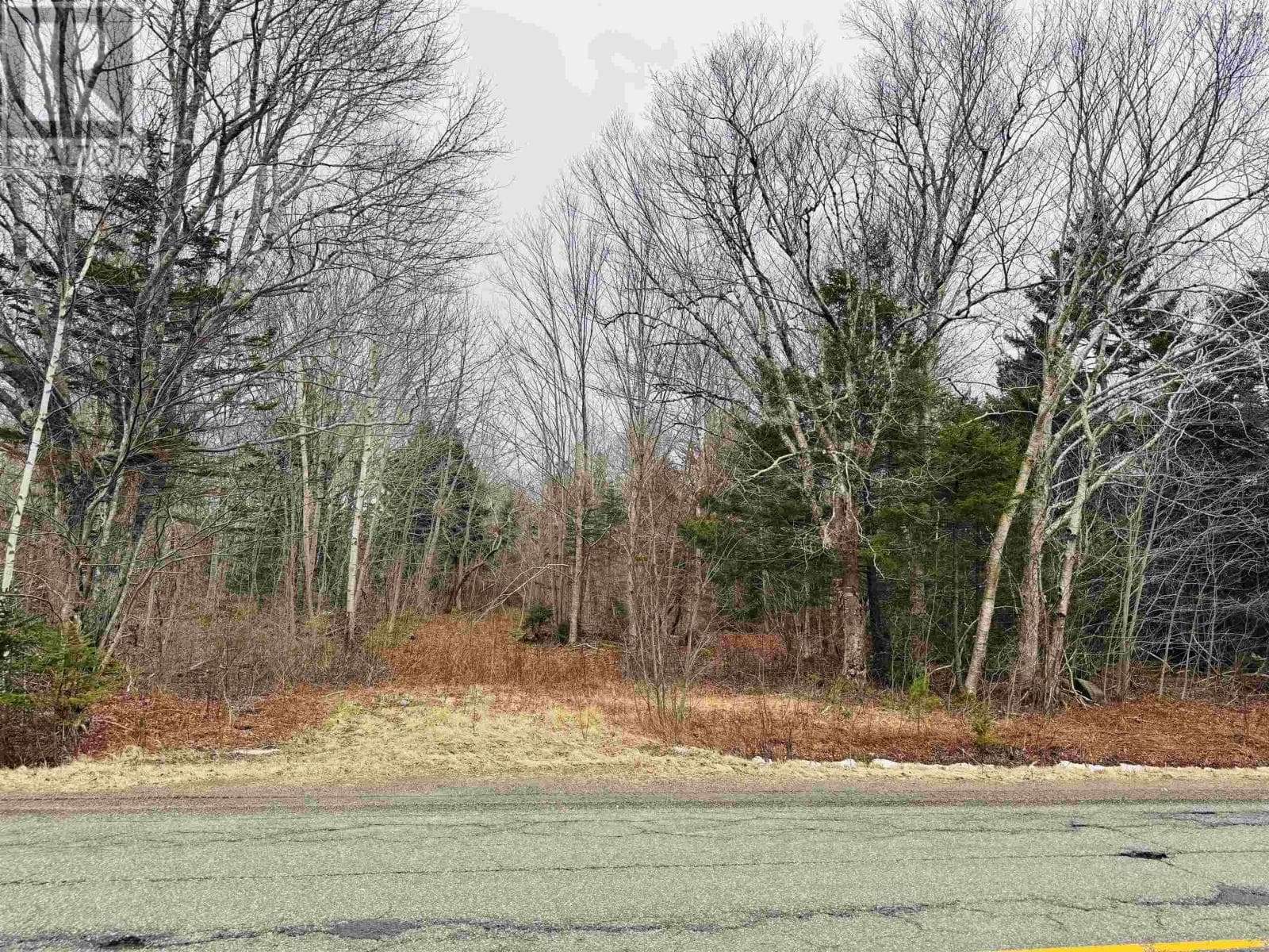 Townshipline Road photo 3
