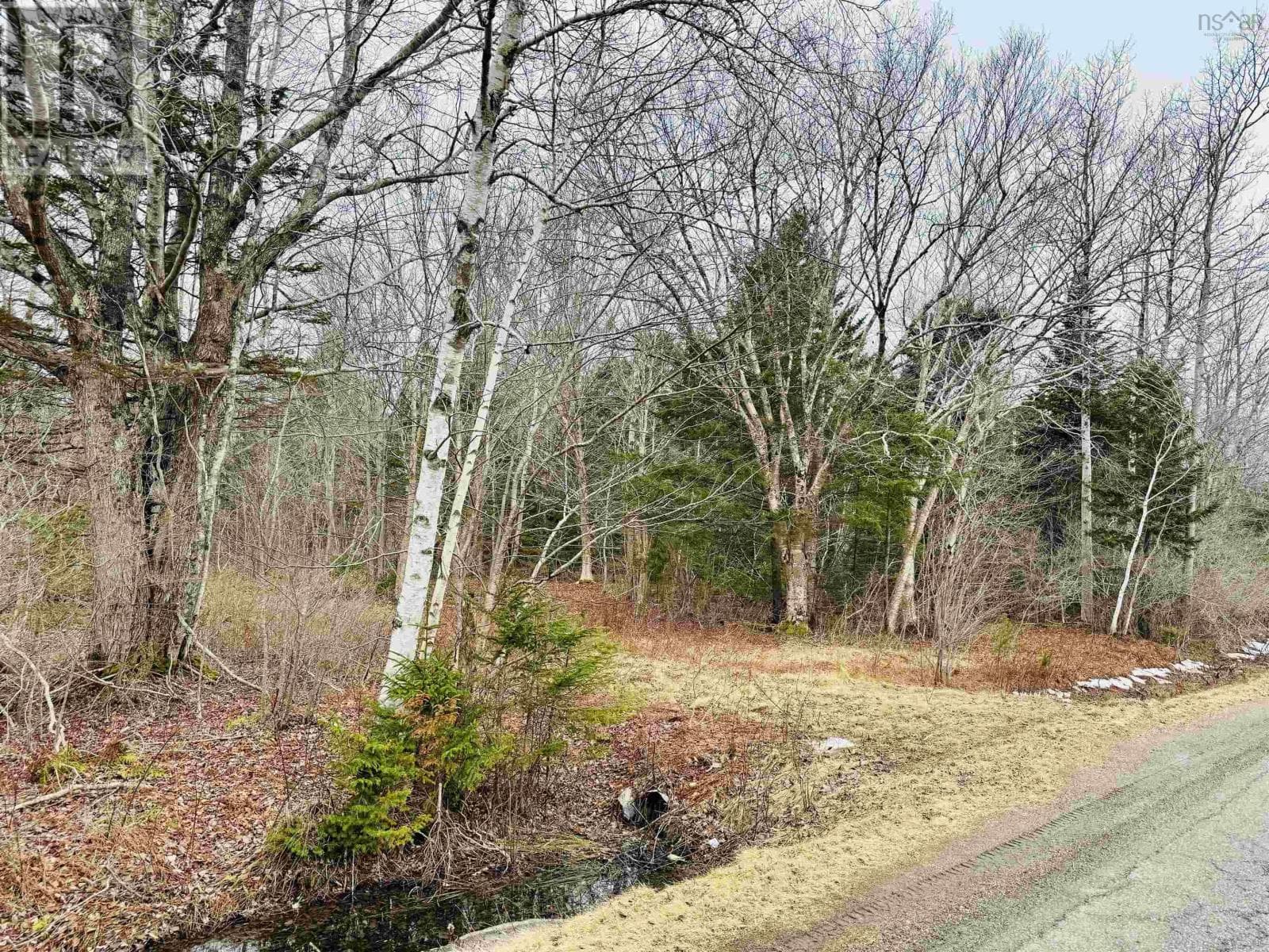 vacant land at Townshipline Road — $154,900