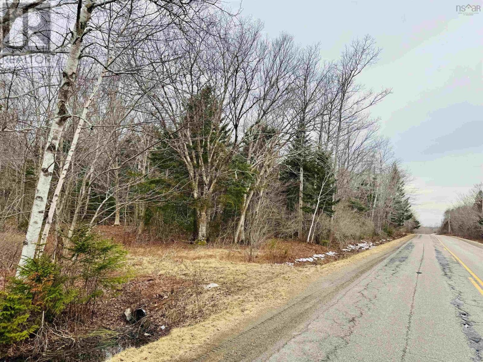 Townshipline Road photo 2