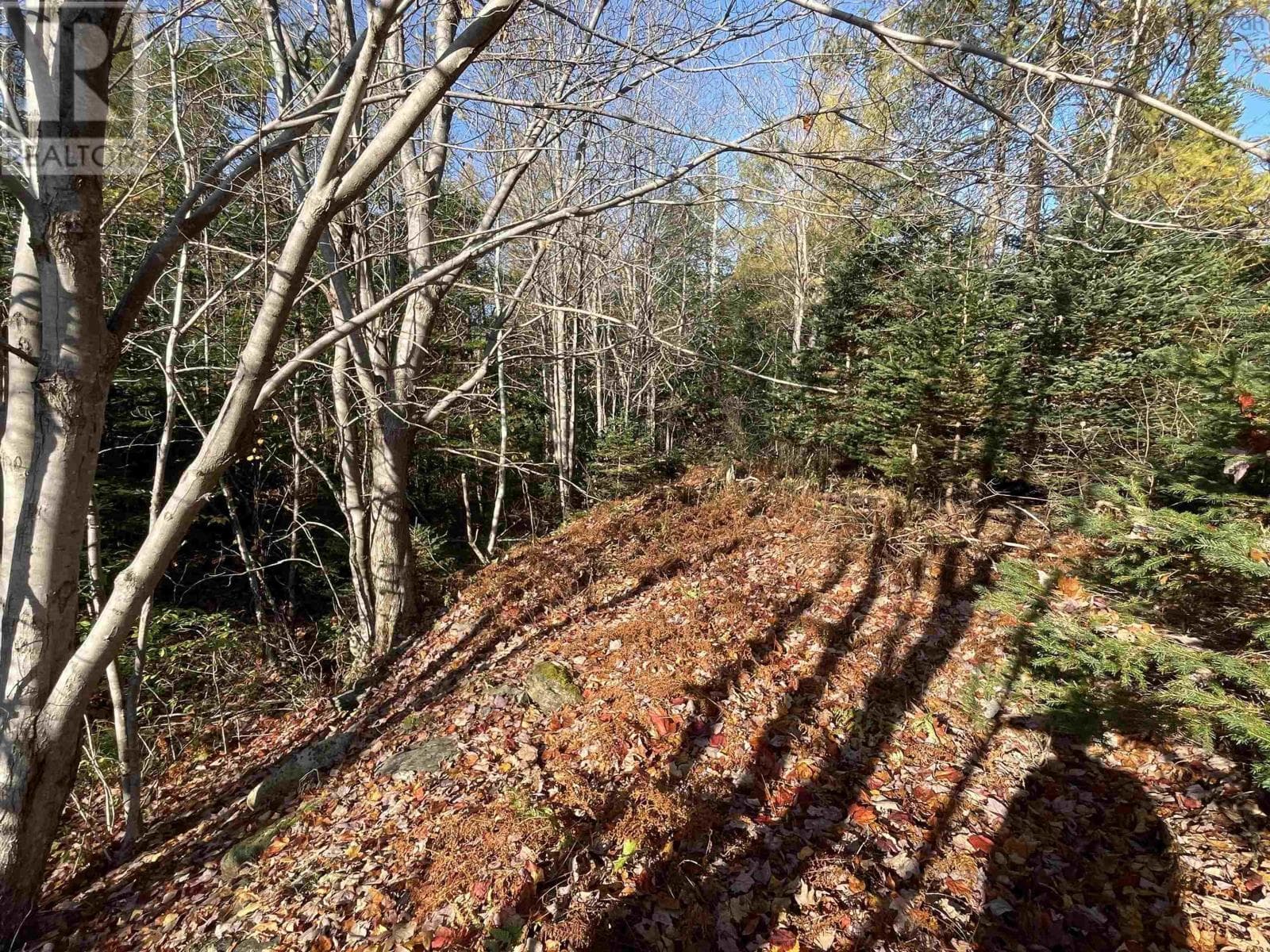 vacant land at Mosher Road — $50,000