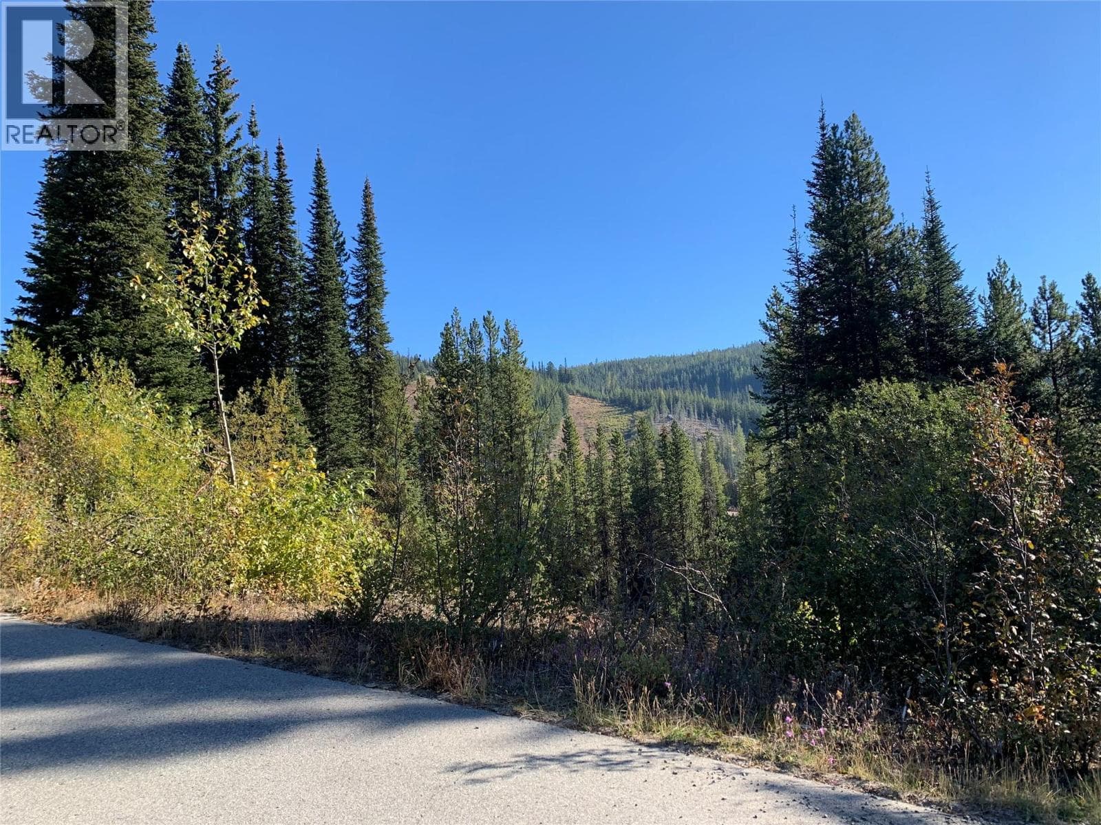 248 Wapiti Creek Road photo 3