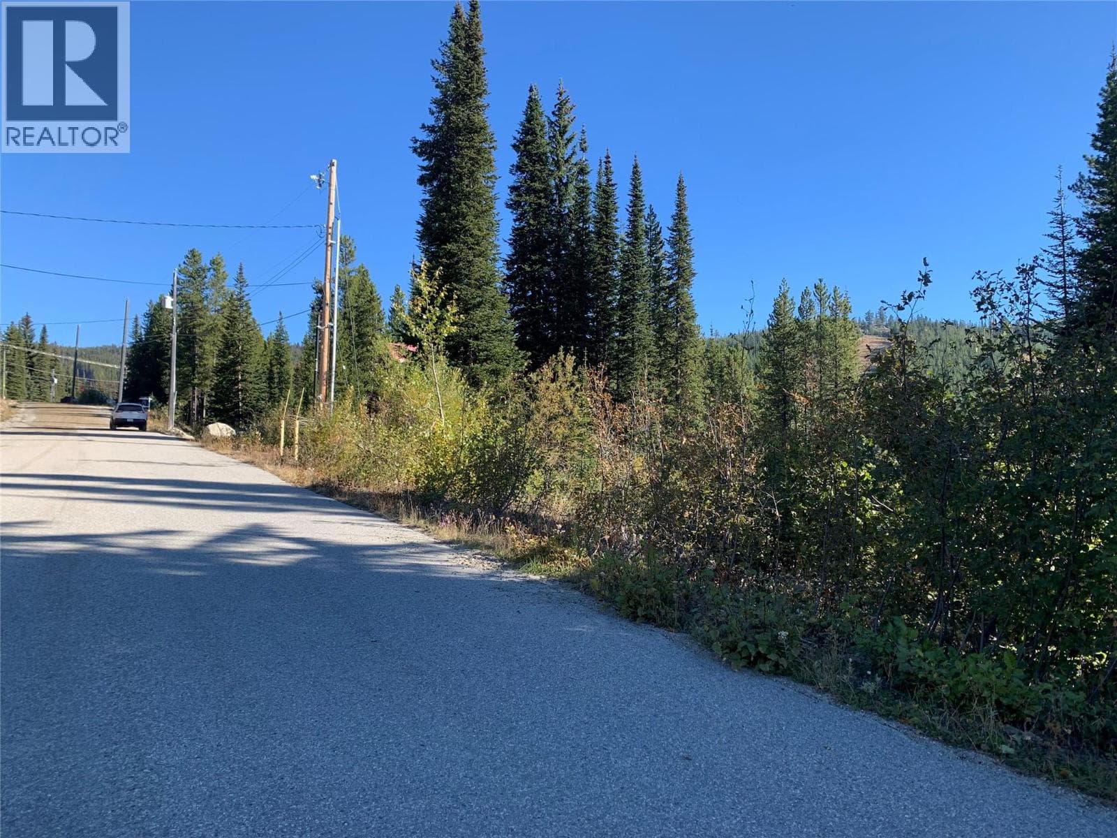 248 Wapiti Creek Road photo 4
