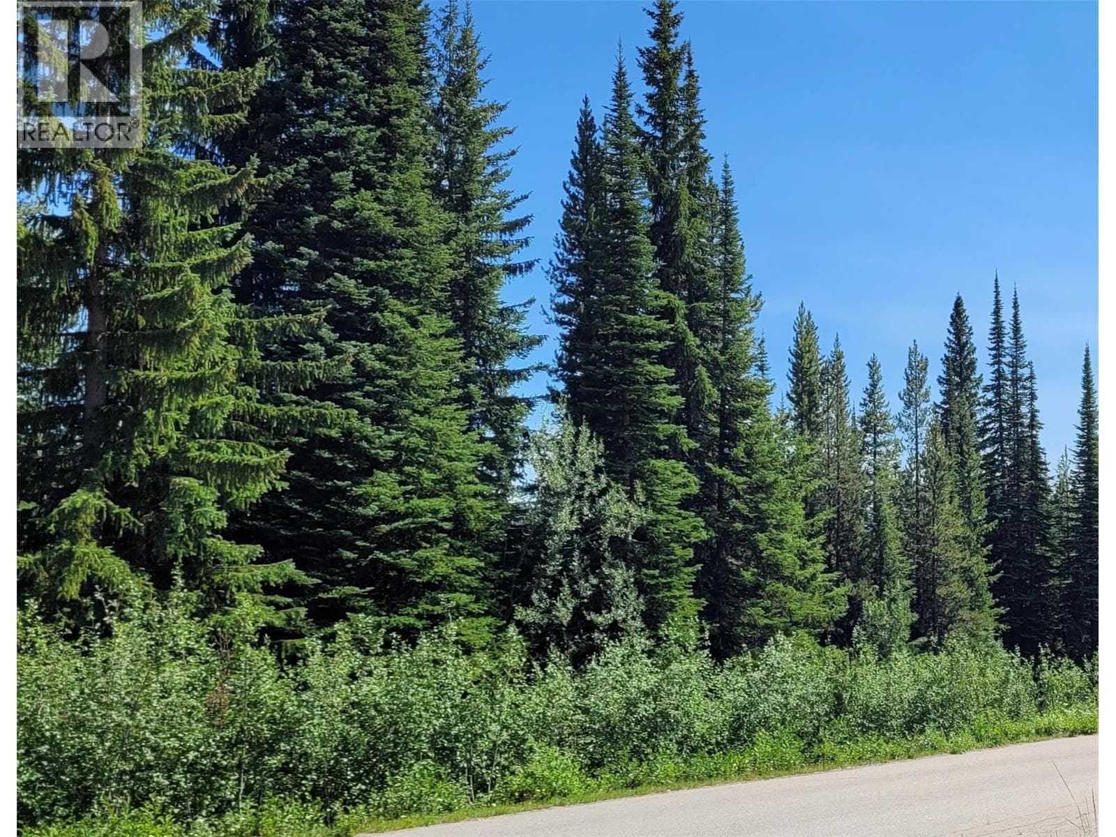 248 Wapiti Creek Road photo 2
