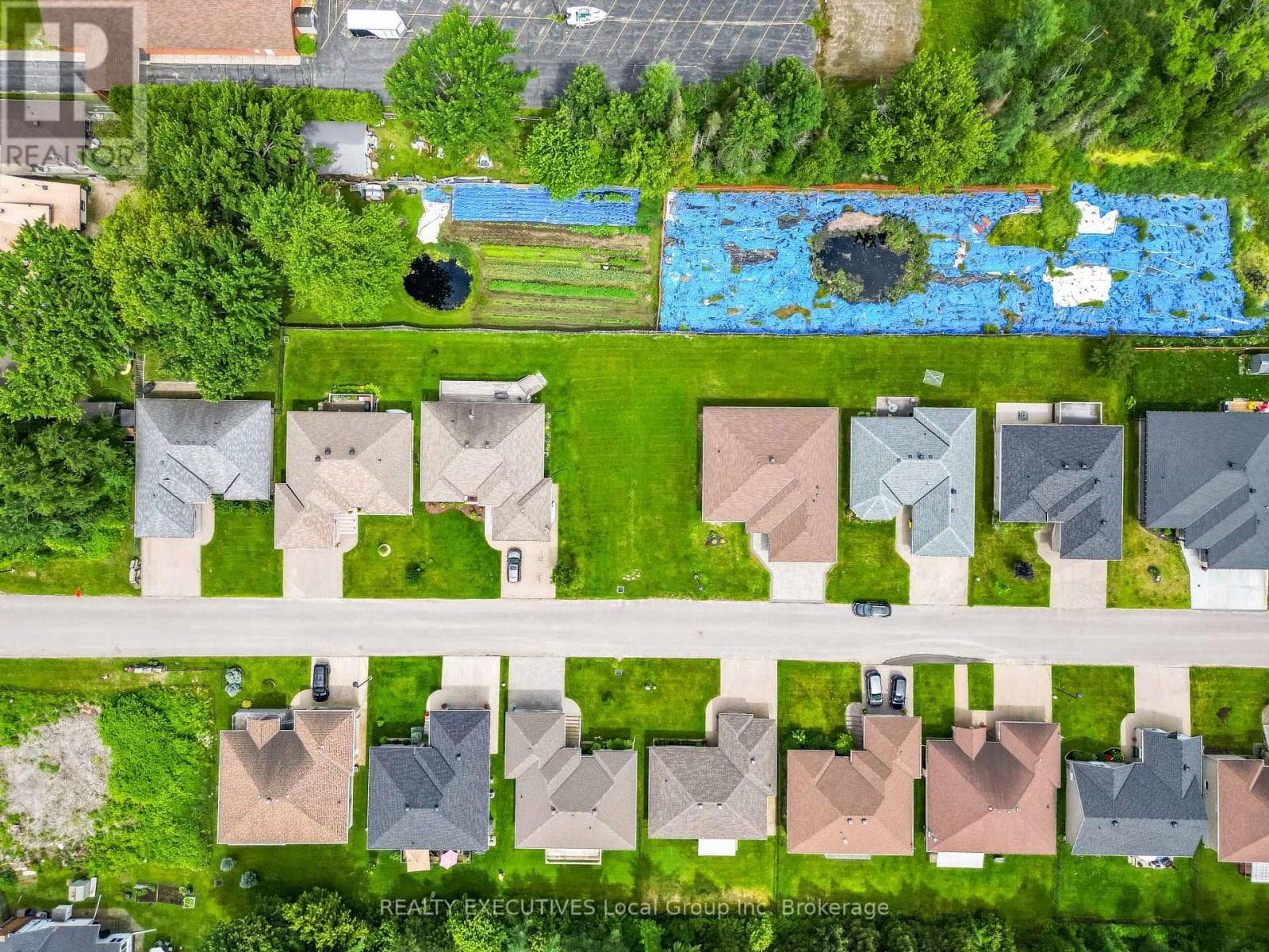 4 - 1134 PREMIER ROAD photo 3