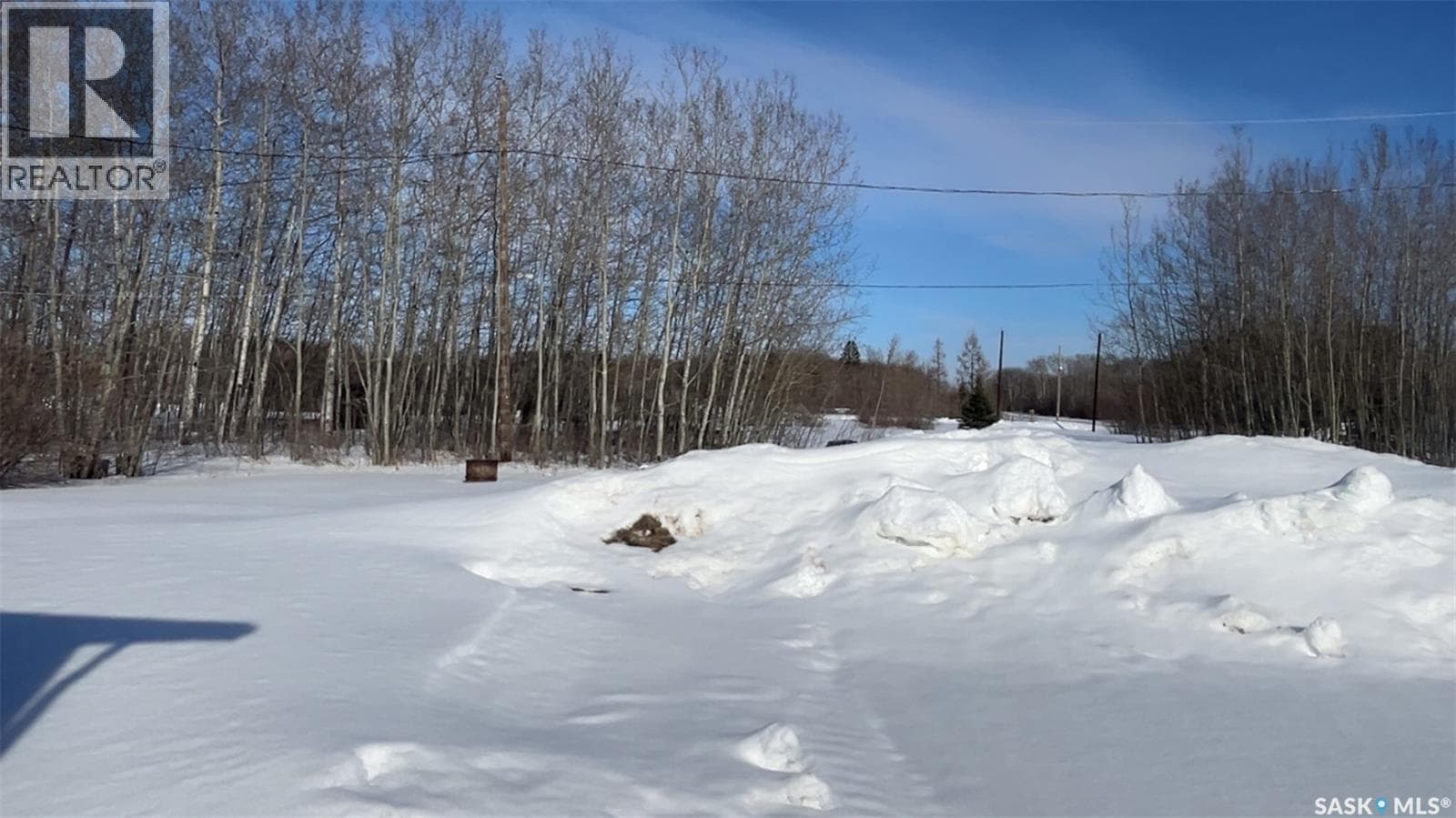 563 Birch STREET photo 3