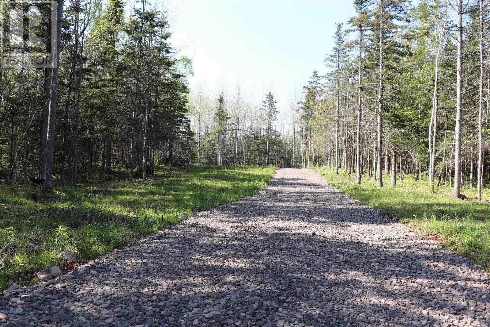 Lot Forest Glade Road photo 2