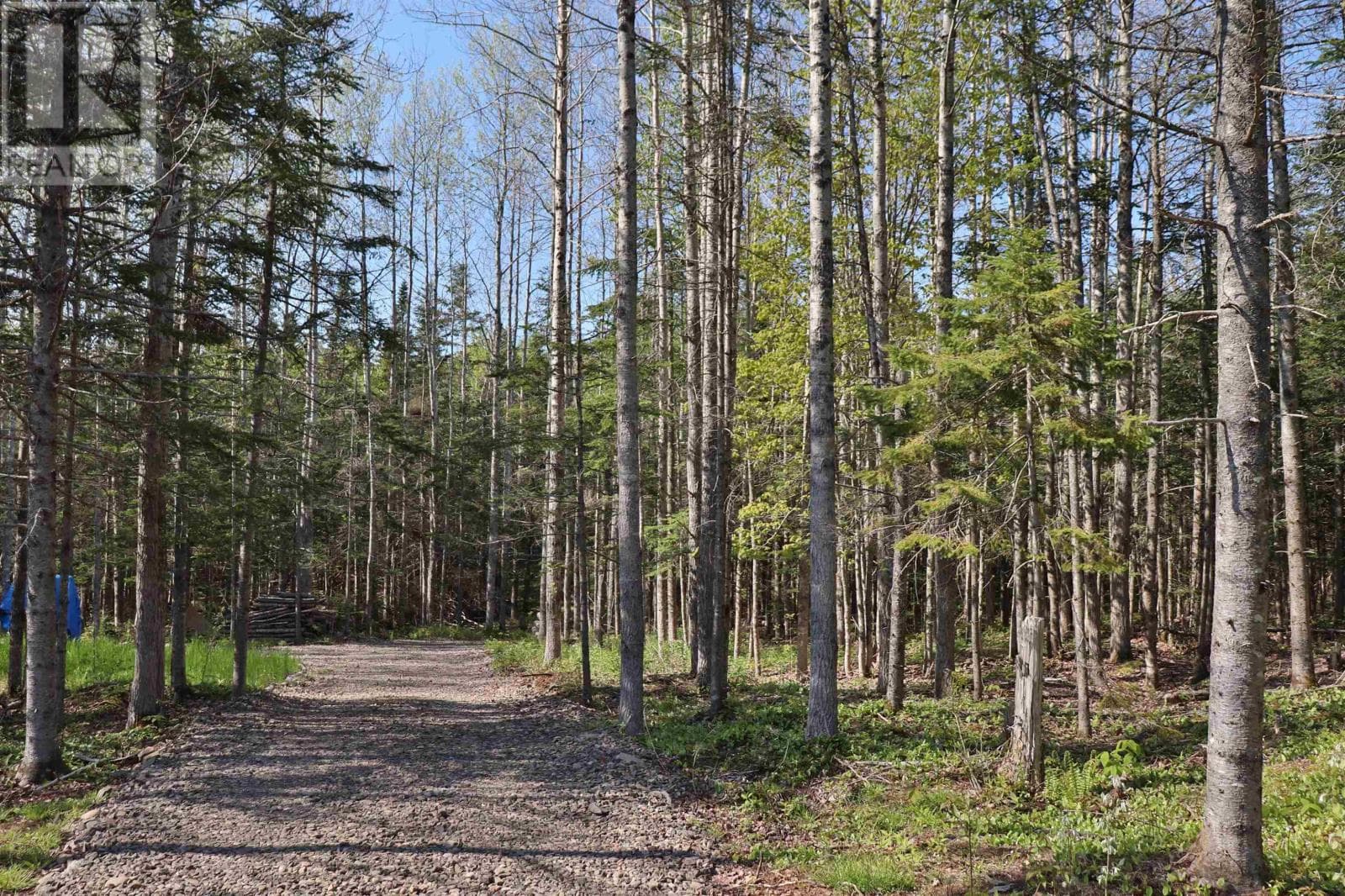 Lot Forest Glade Road photo 5