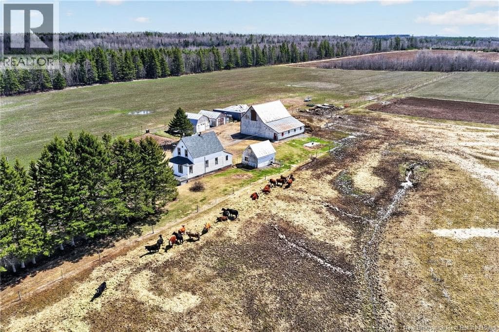 1210 Emmerson Road photo 3