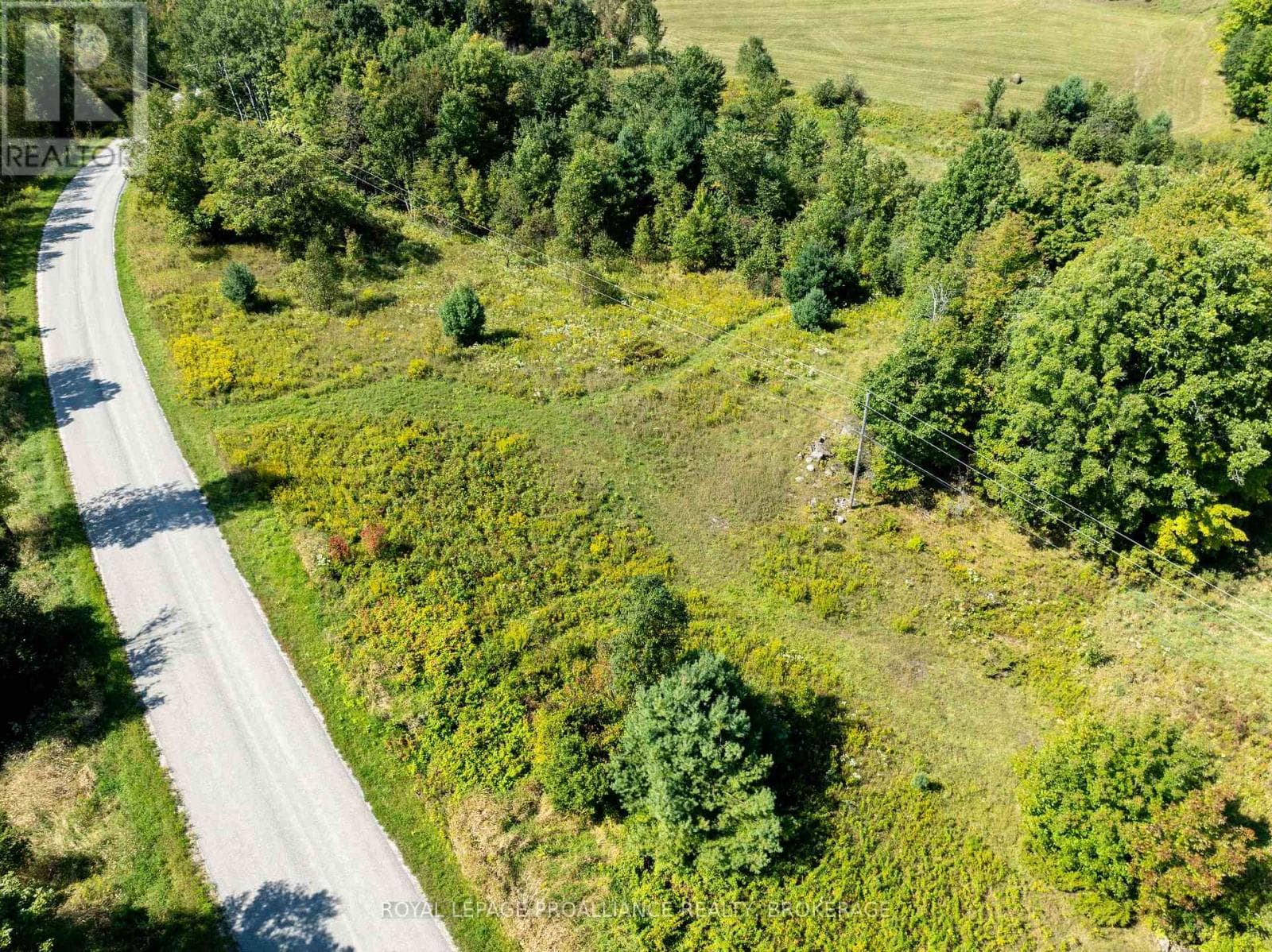 268 CROZIER ROAD photo 5