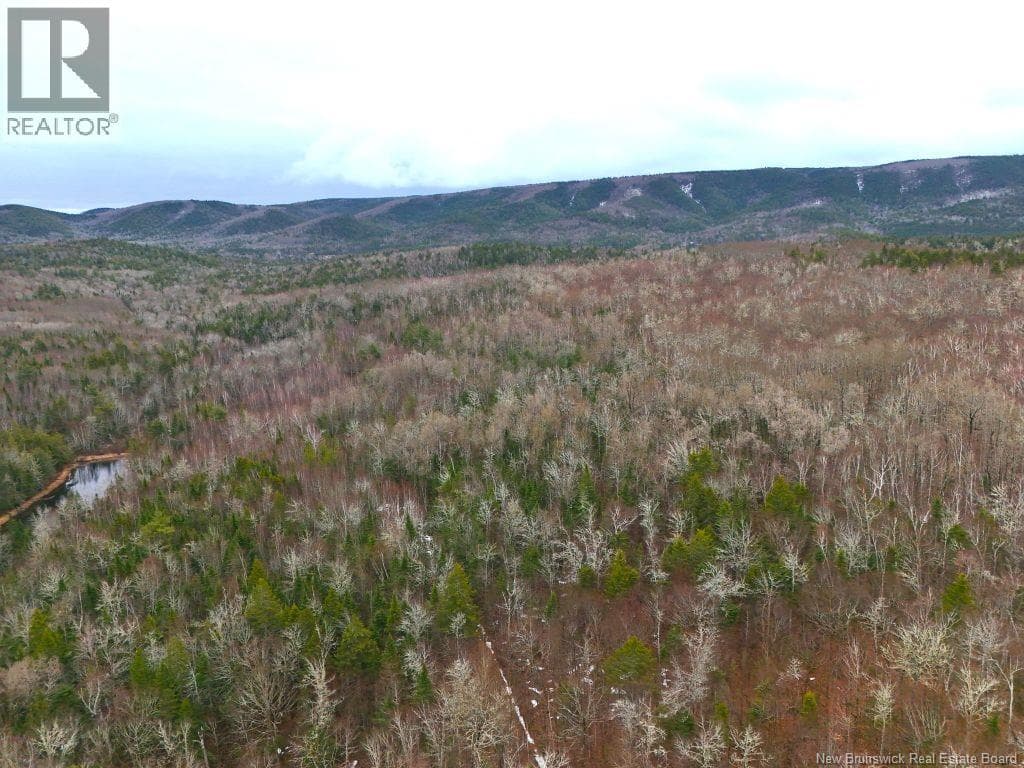 Lot Shaw Road photo 2