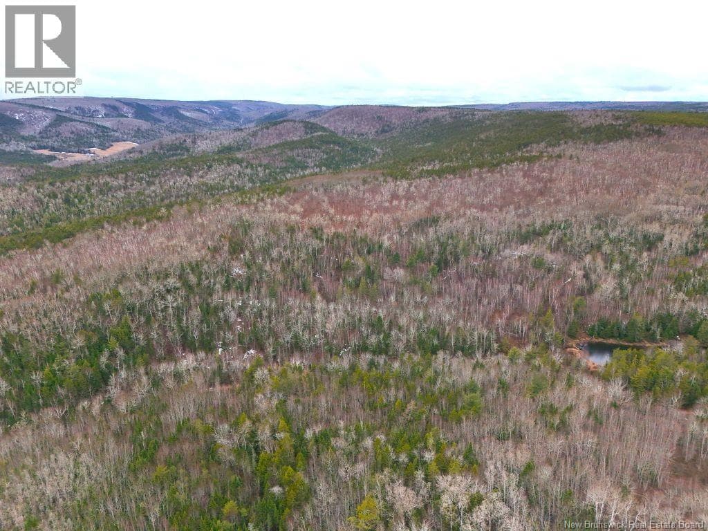 Lot Shaw Road photo 3