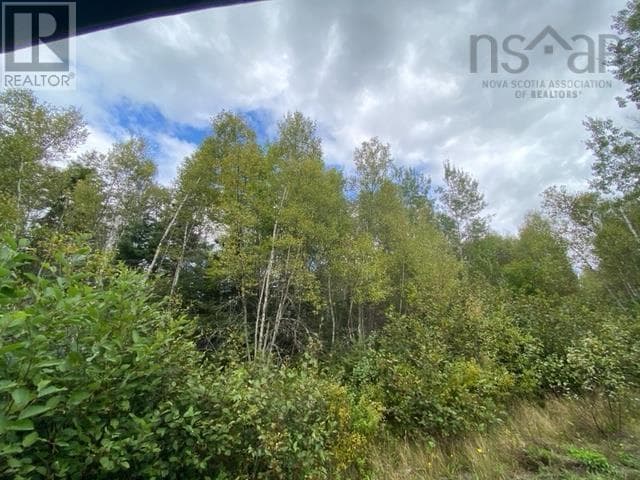 Lot 104 Highway photo 3