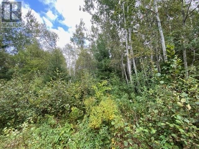 Lot 104 Highway photo 2