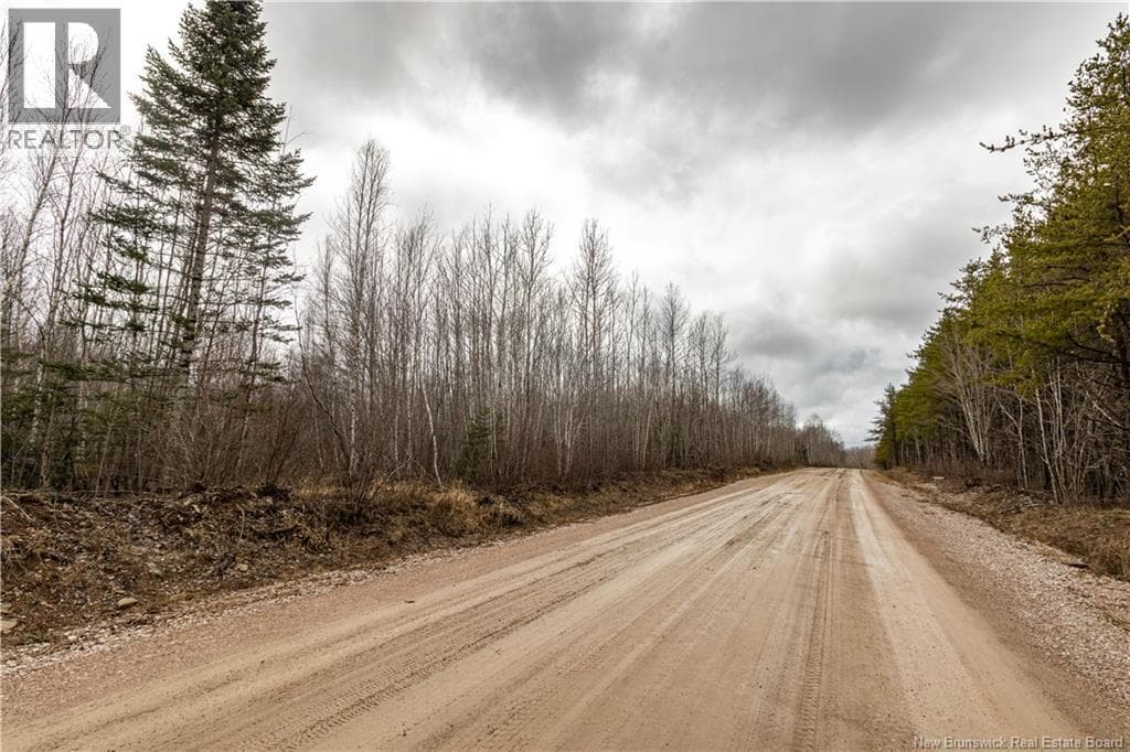 Lot 2 South Canaan Road photo 3