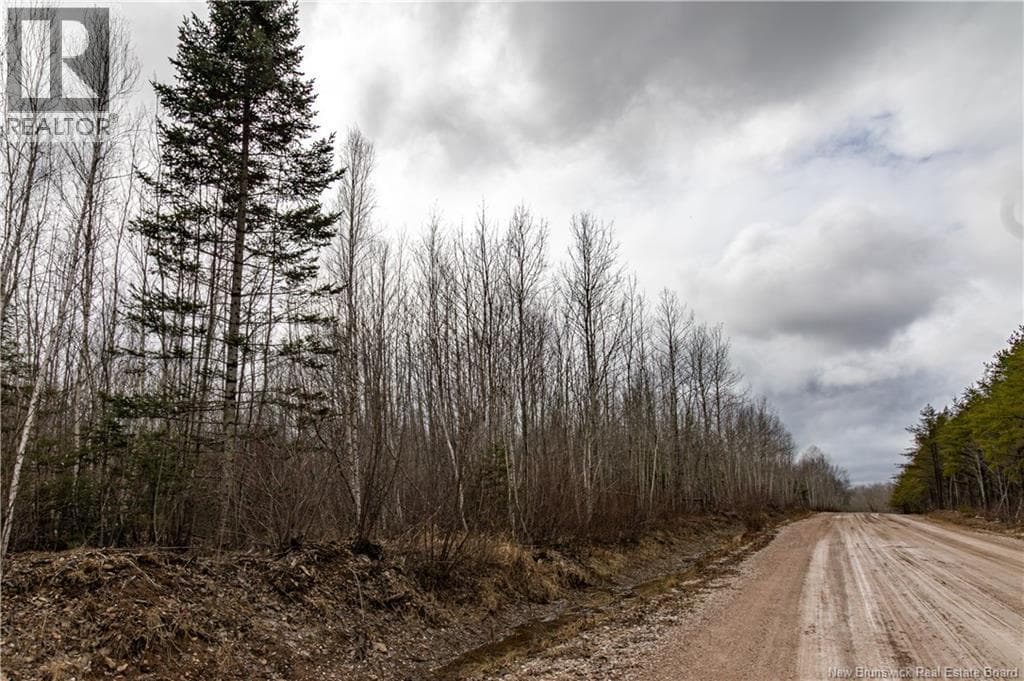 Lot 2 South Canaan Road photo 4