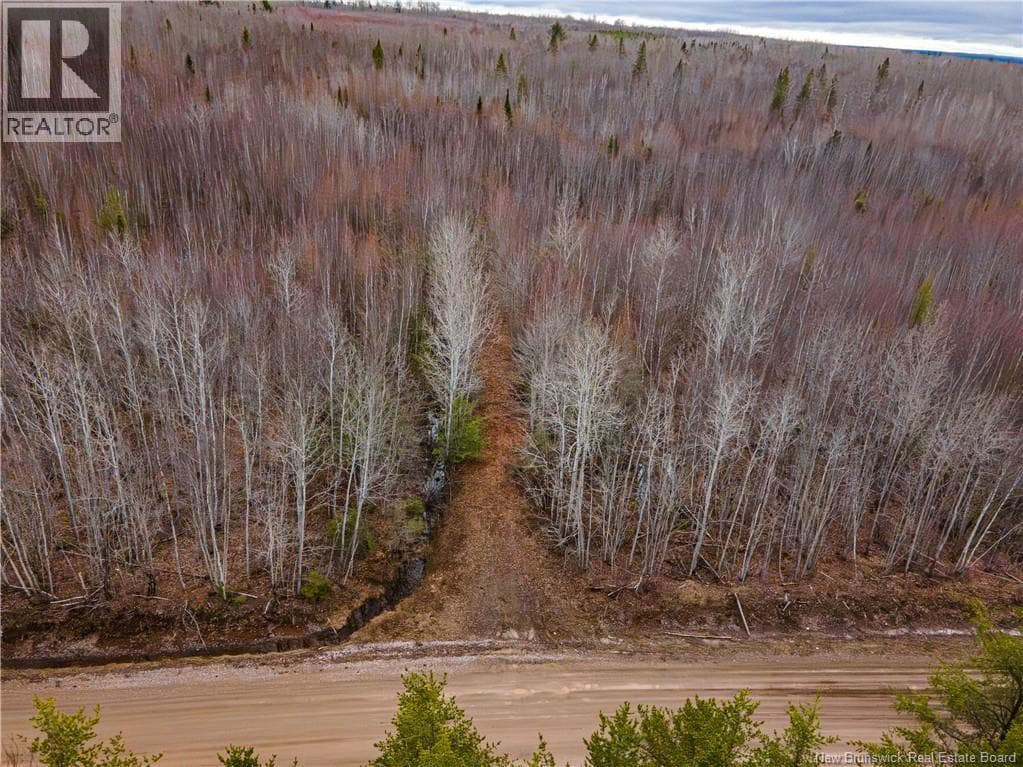 Lot 1 South Canaan Road photo 2