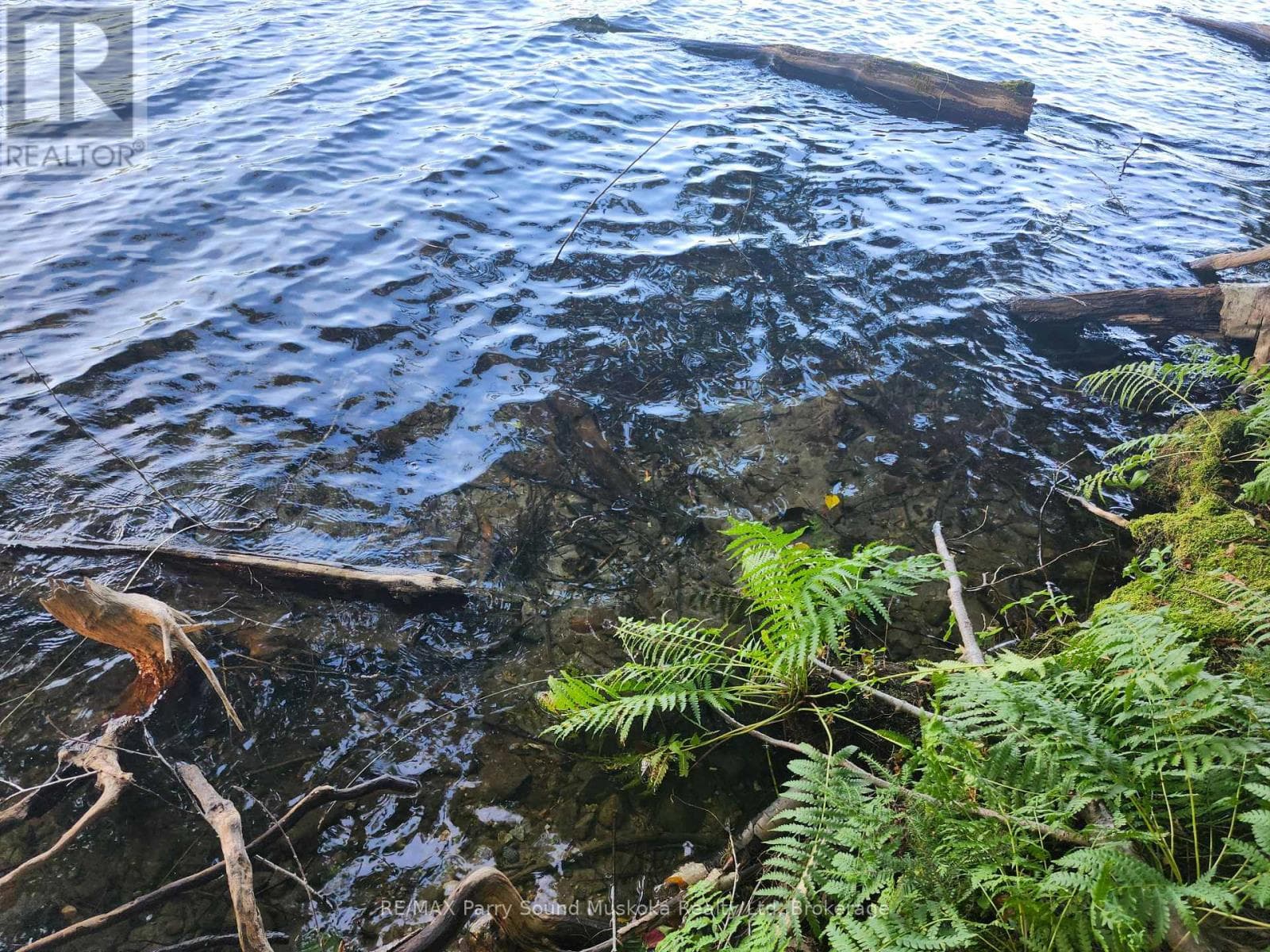368 SIMMONS LAKE ROAD photo 2