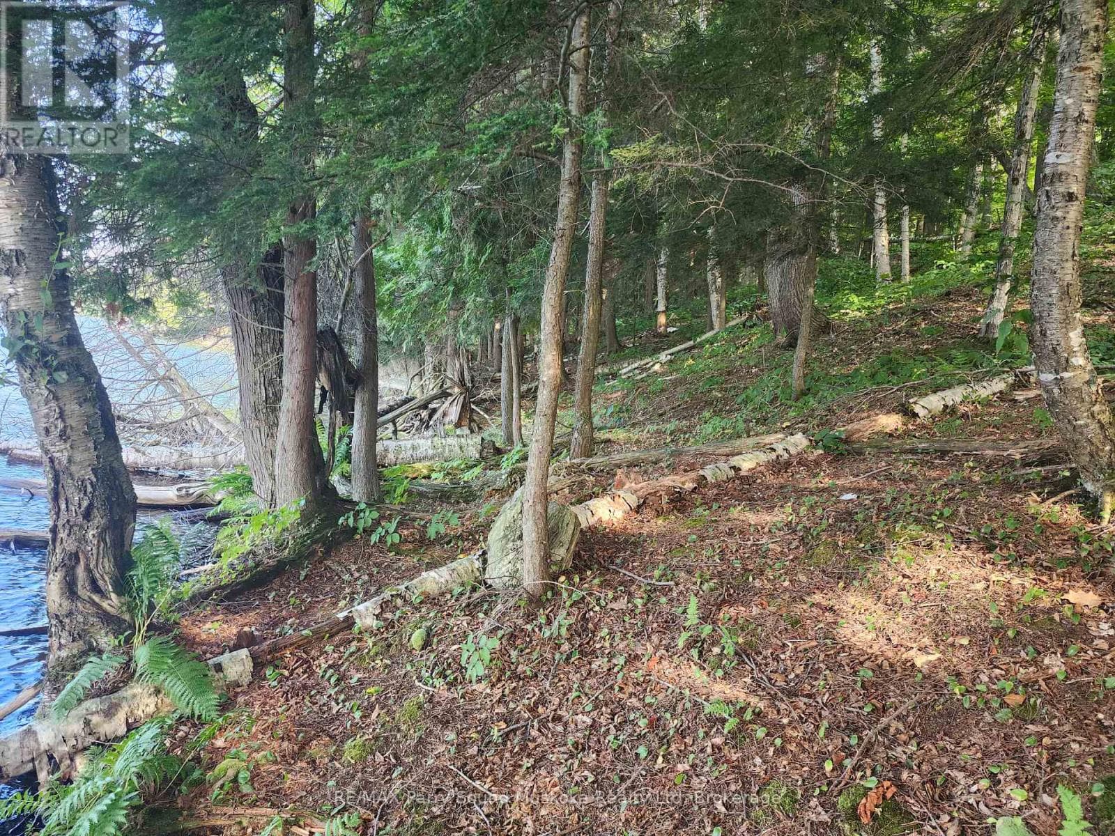 368 SIMMONS LAKE ROAD photo 3
