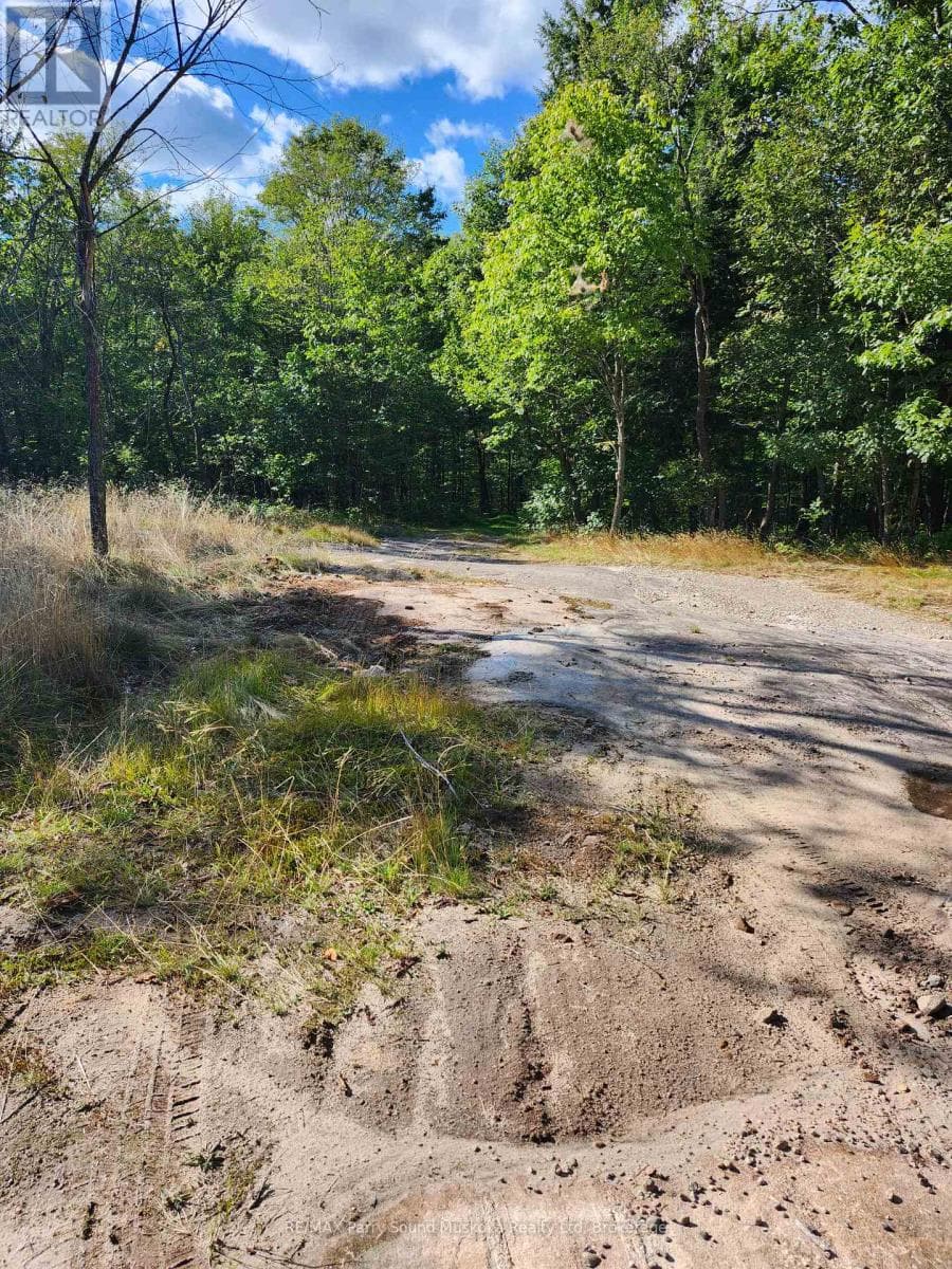 368 SIMMONS LAKE ROAD photo 4