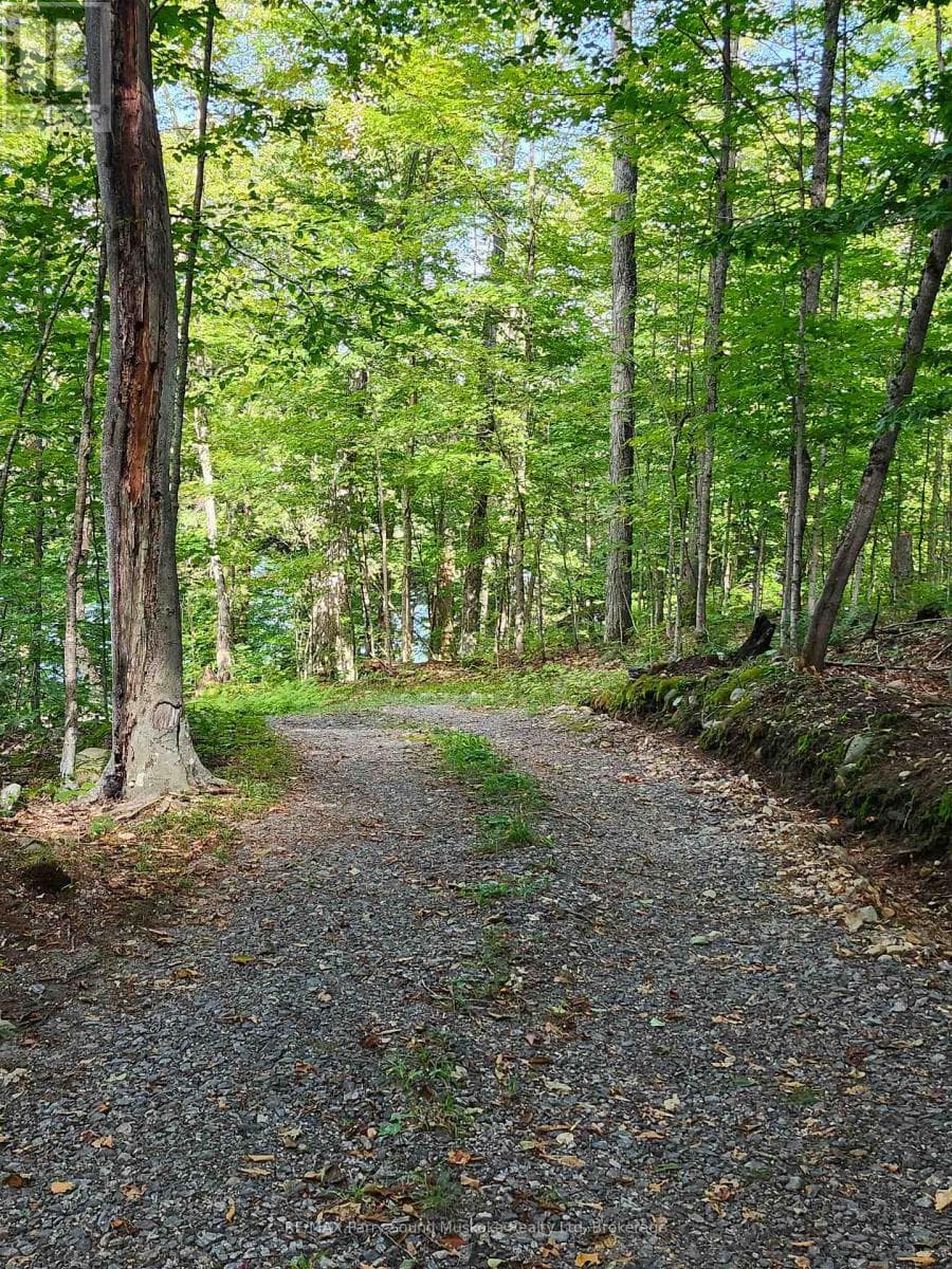368 SIMMONS LAKE ROAD photo 5