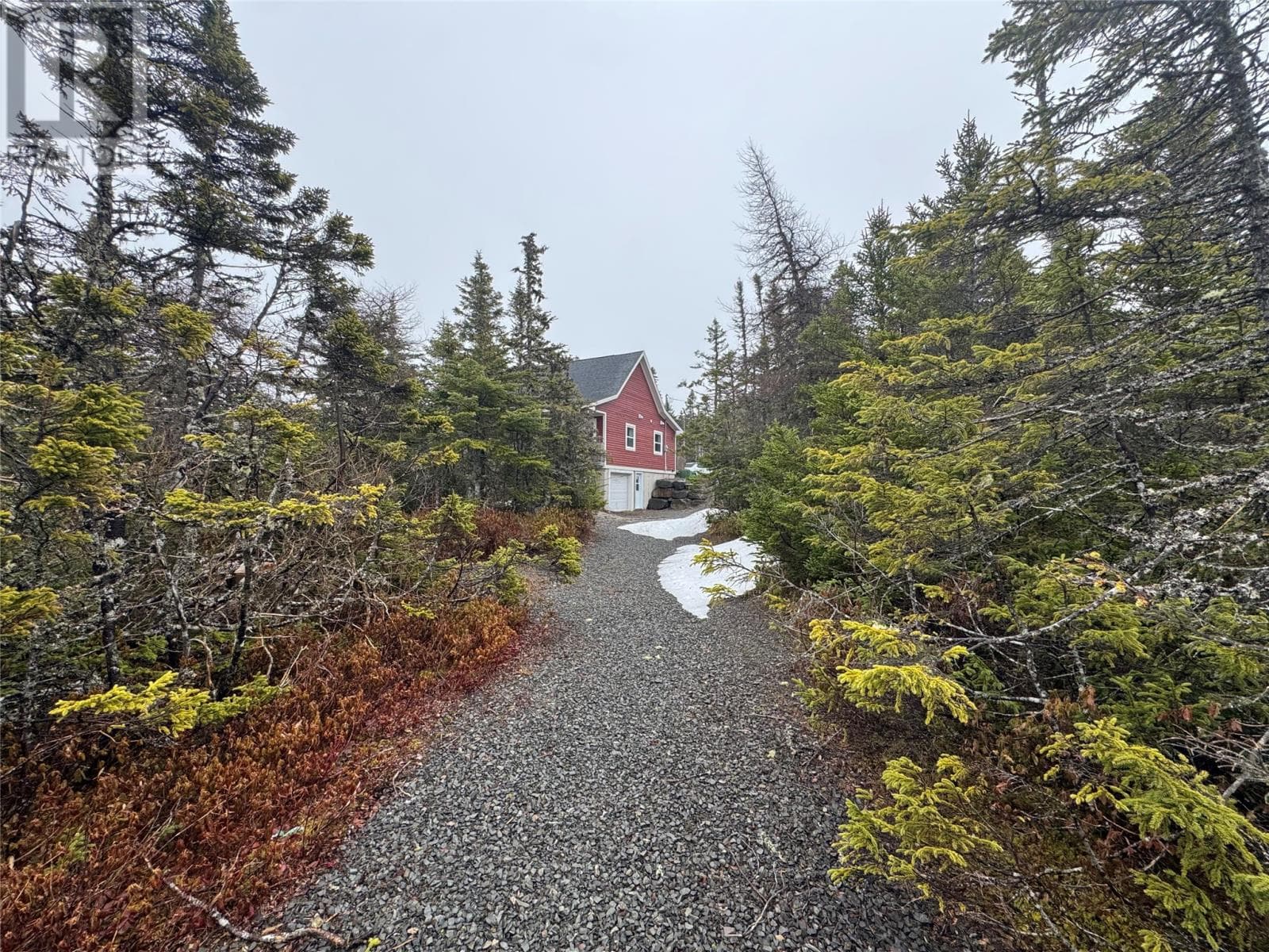 6 Brigus Heights photo 2