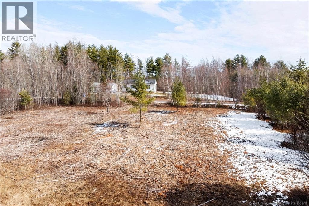 Lot 4 - Carman Street photo 5