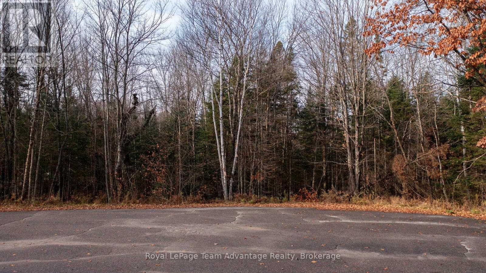 181 CLARKES LANE photo 2