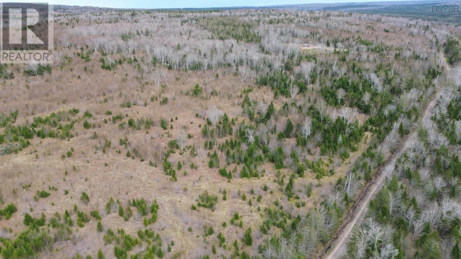 Acreage Mason Road photo 3
